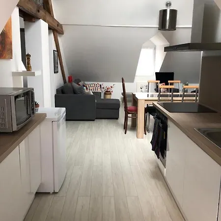 Deluxe Design - Center Cosy Apartment Colmar