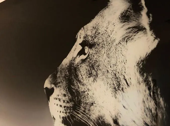 Deluxe Design - Center Cosy